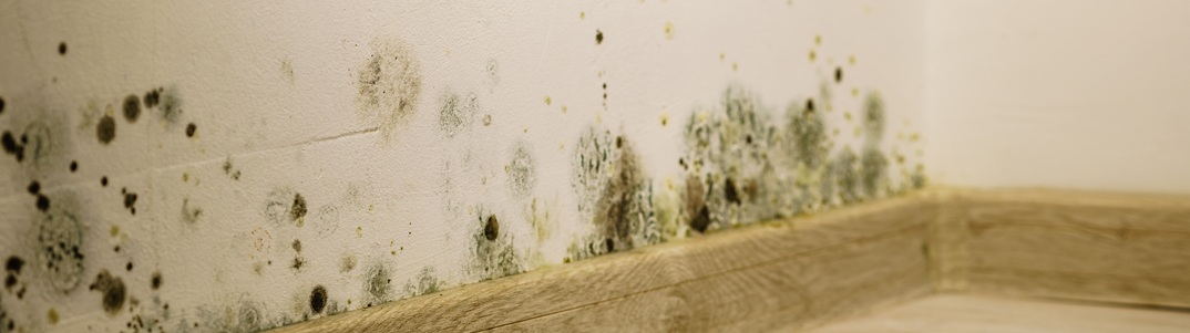 Unsafe living conditions